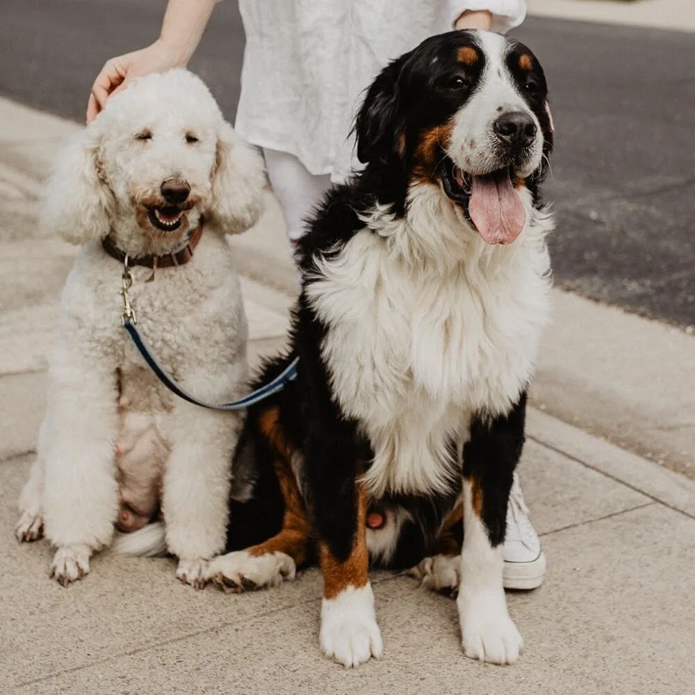 IMG 0342 2 e1683580515429