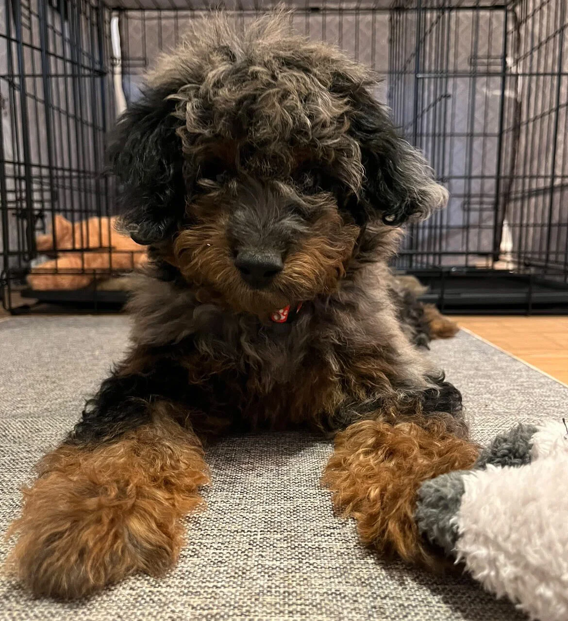 2873B28A 00F8 4D8A 828D AEC1BA3D4A80 e1687547899364