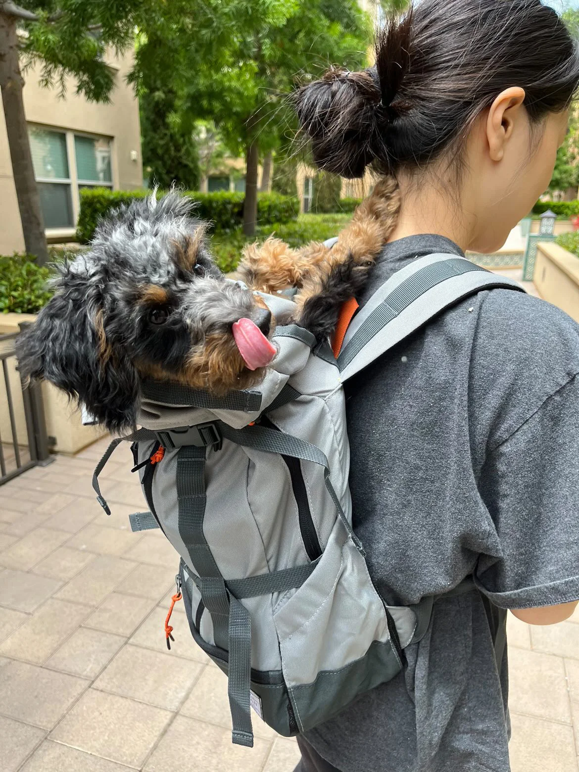 4503A065 94CD 44C2 B1E2 9090CACB42A5