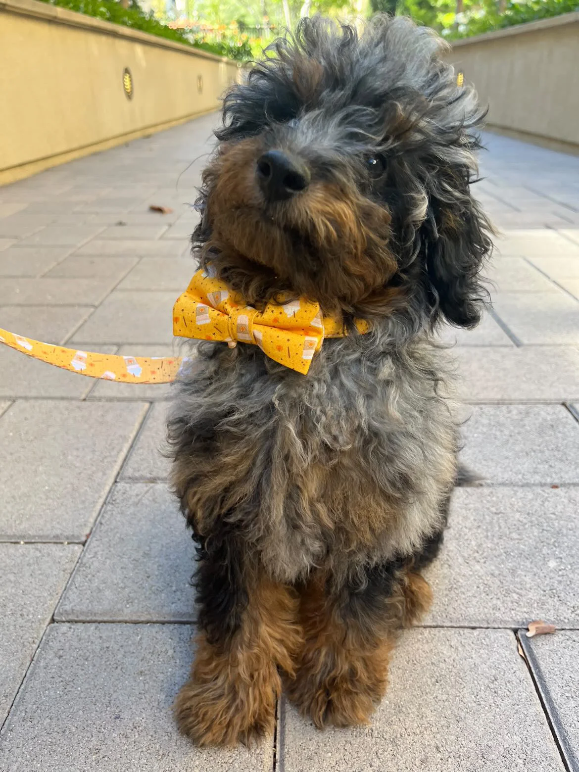 B54B7BA2 C551 4CED 8F95 7616E85CBFFF