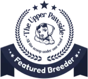 Bernedoodle and Co recommended breeder