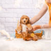 Paige - Mini F2 Girl - Image 2