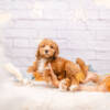 Paige - Mini F2 Girl - Image 5
