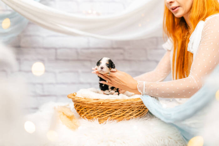 Pebbles - Mini F1b Girl - Image 2