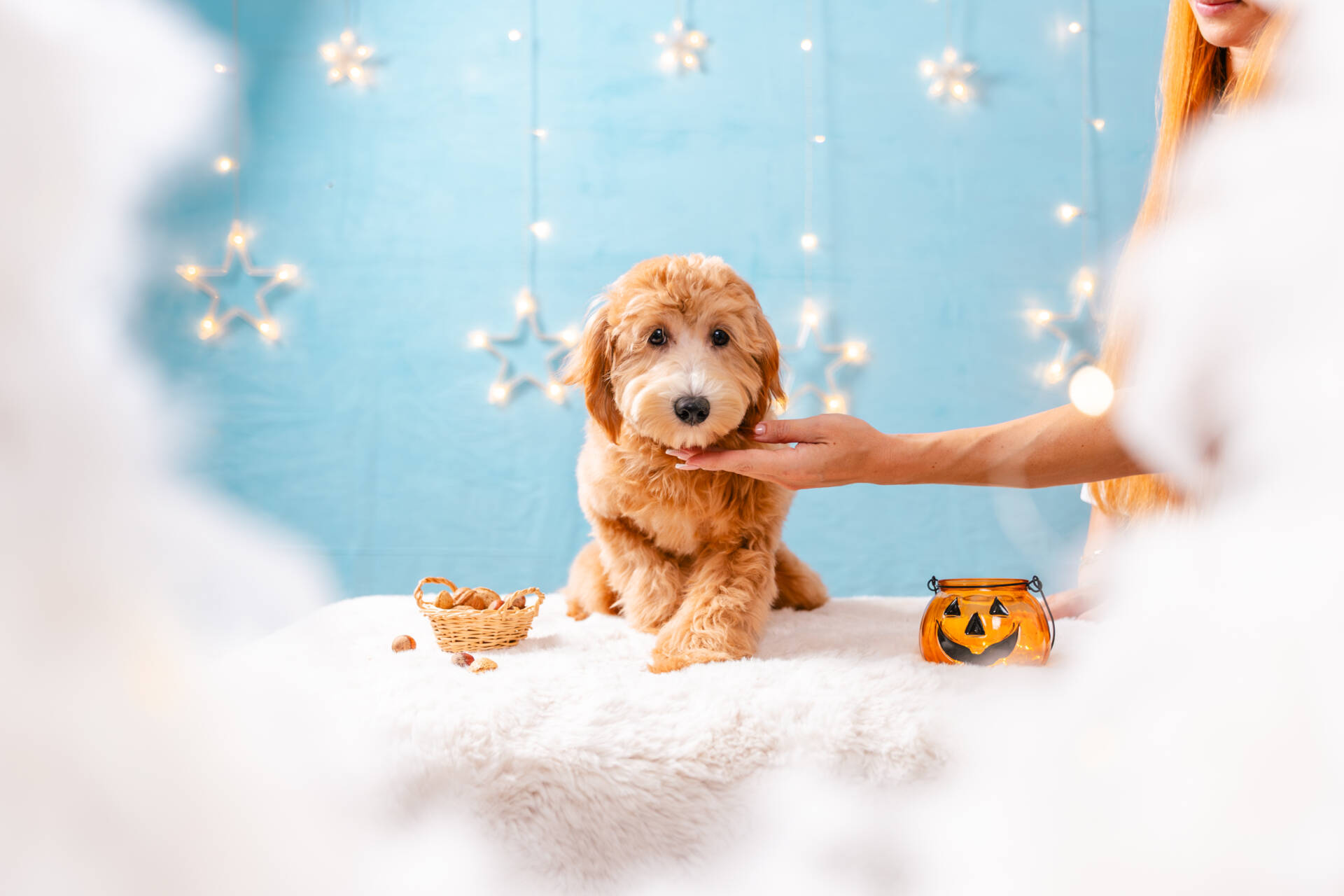 Princess - Mini F2 Girl - Image 3