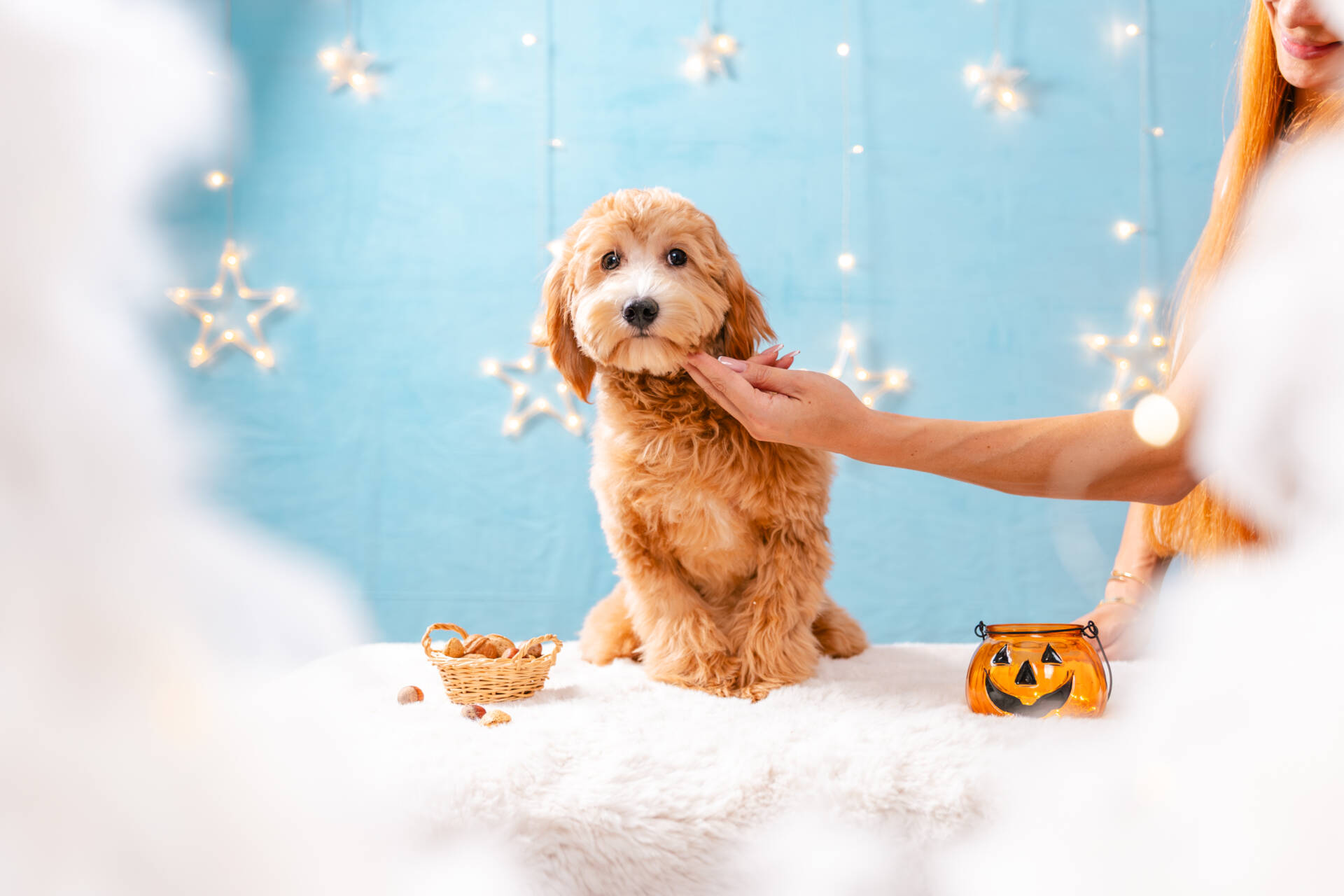 Princess - Mini F2 Girl - Image 4