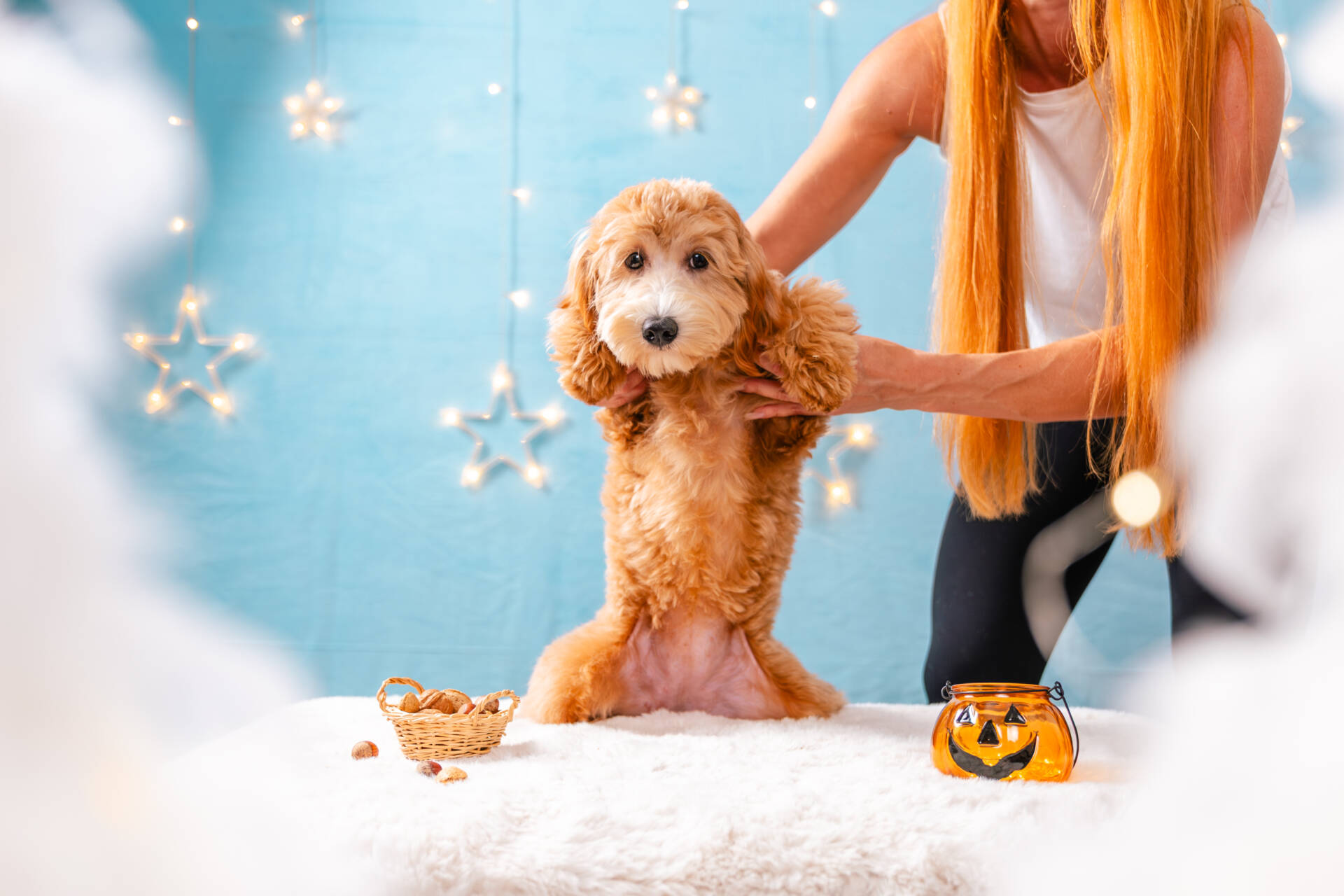 Princess - Mini F2 Girl - Image 5