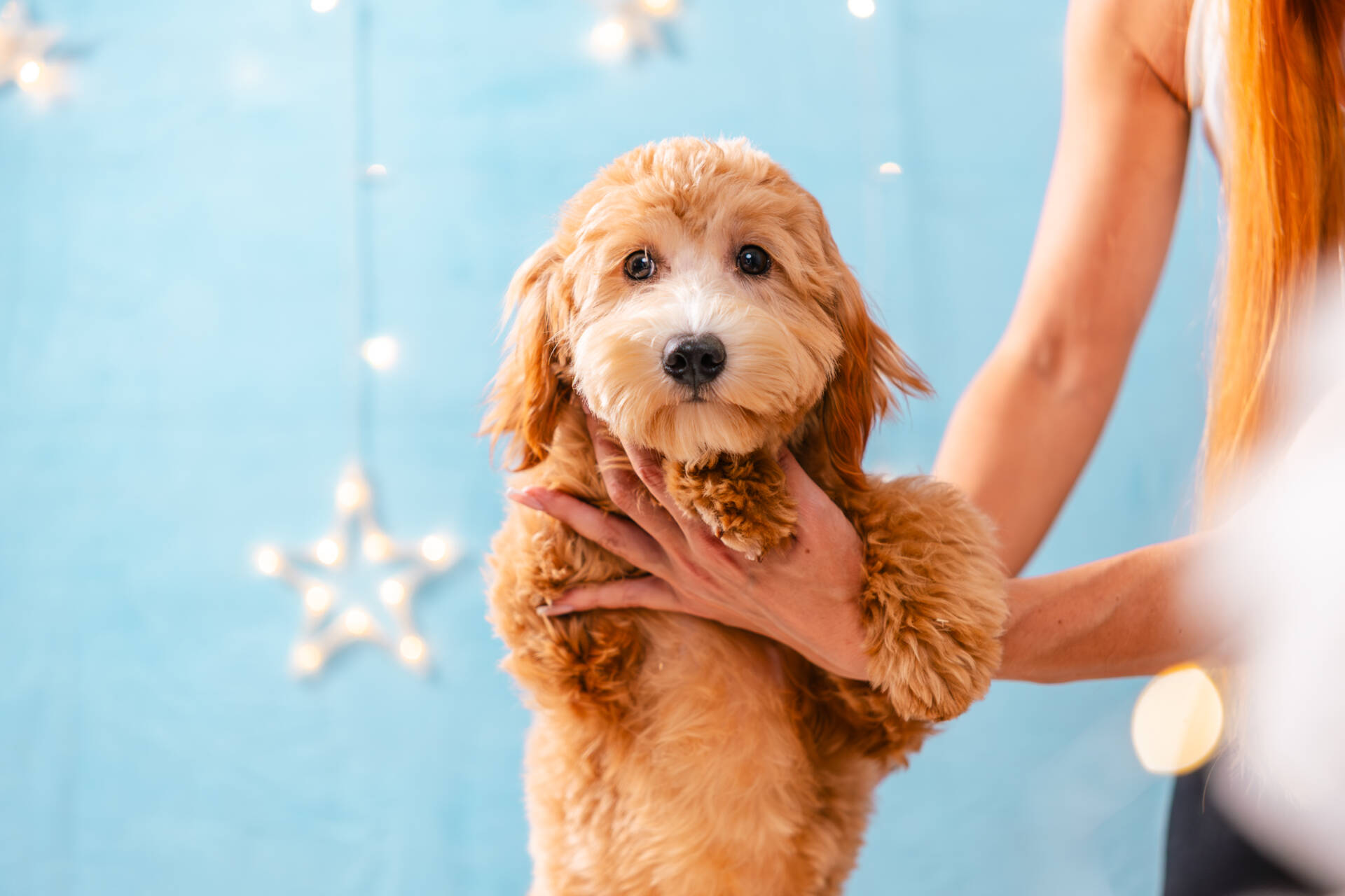 Princess - Mini F2 Girl