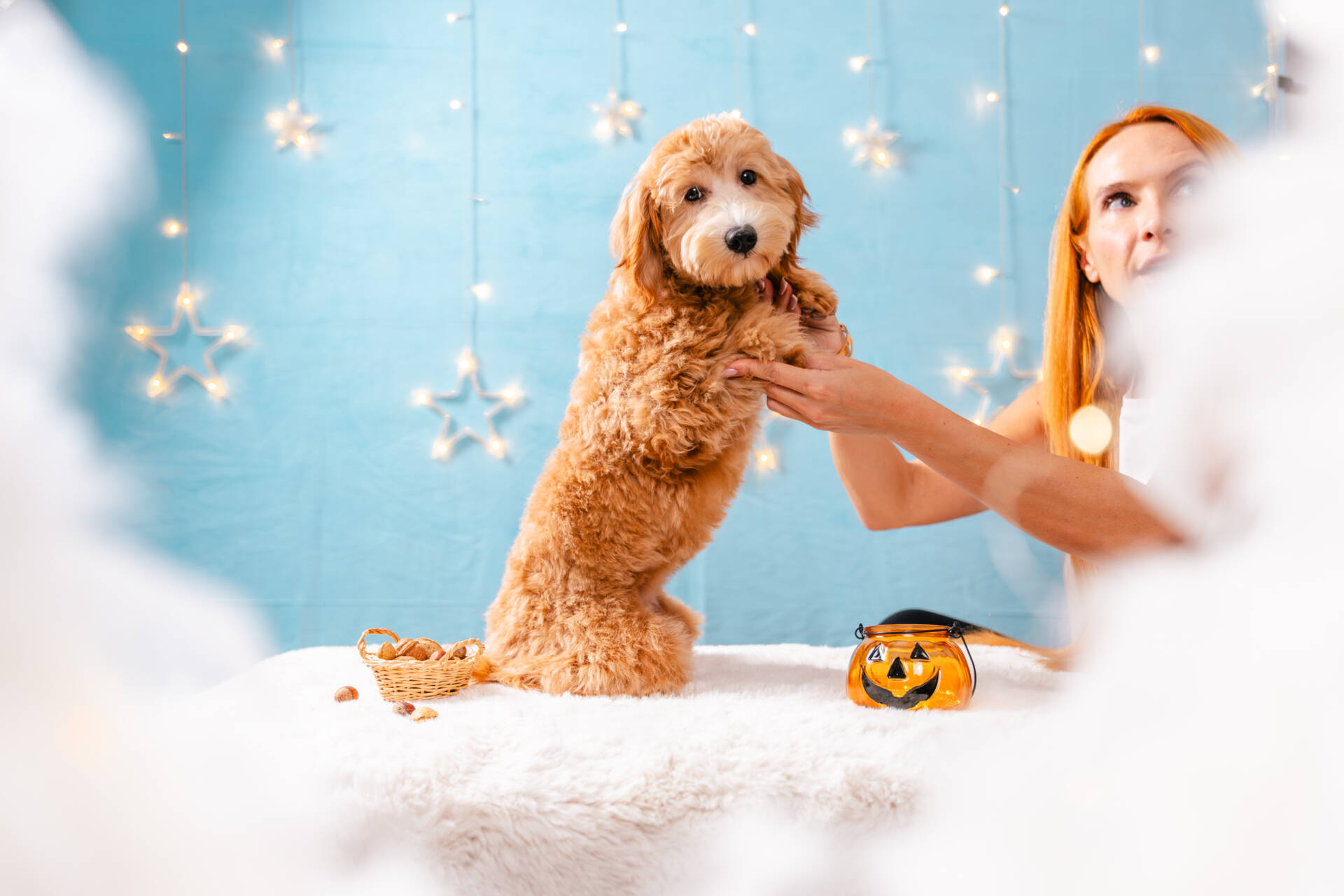 Princess - Mini F2 Girl - Image 8