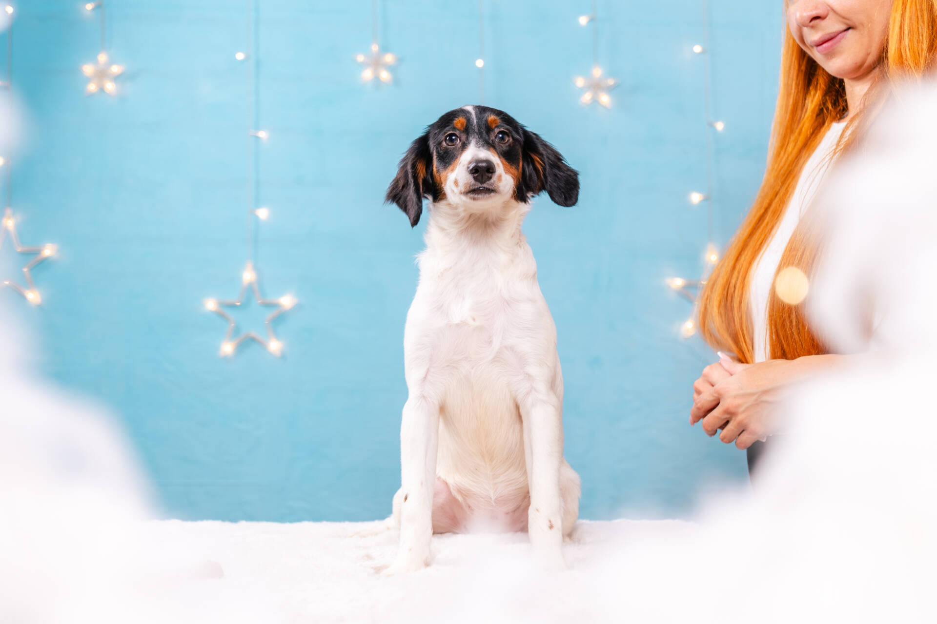 Lucy - Mini F2 Girl Unfurnished - Image 2