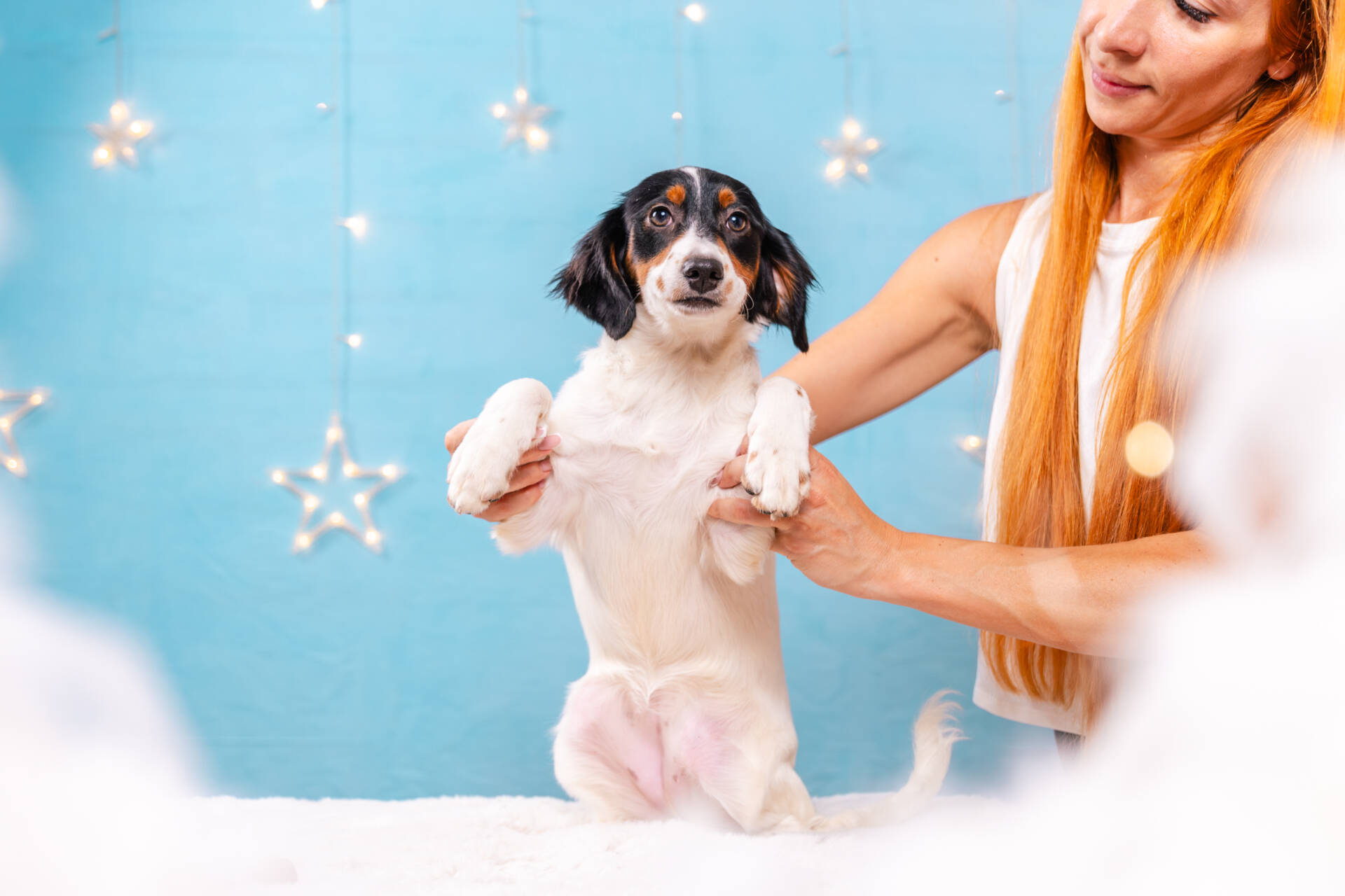 Lucy - Mini F2 Girl Unfurnished - Image 3