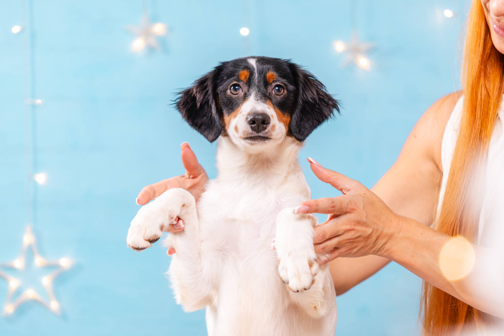 Lucy - Mini F2 Girl Unfurnished