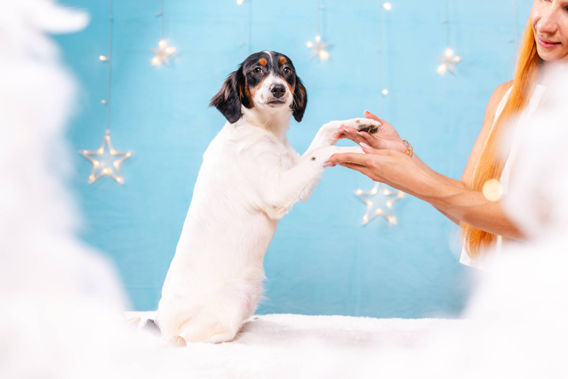 Lucy - Mini F2 Girl Unfurnished - Image 5