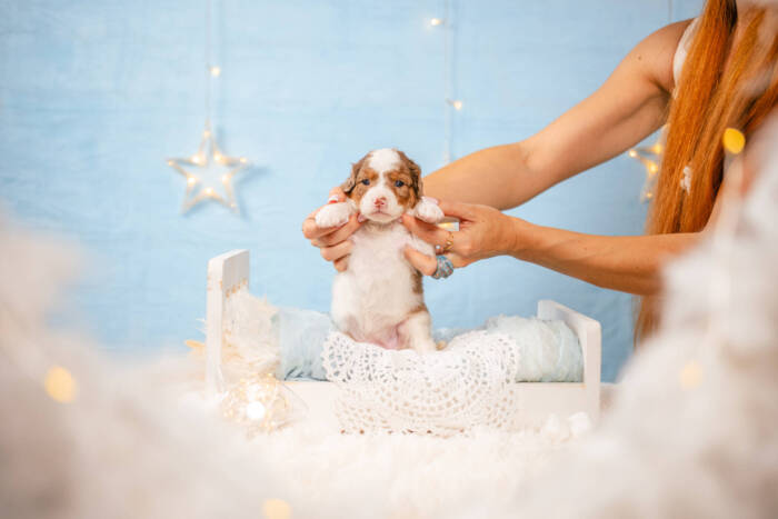 Dolly - Mini F2 Girl - Image 5