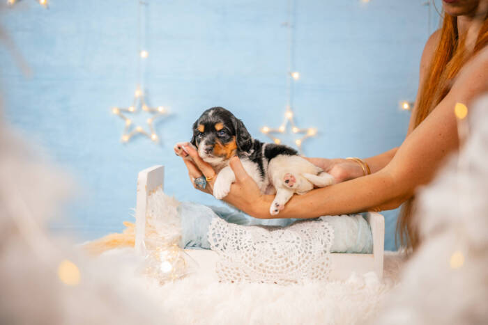 Darla - Mini F2 Girl - Image 3