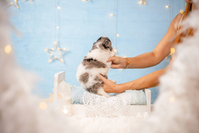 Donut - Mini F1b Boy - Image 3