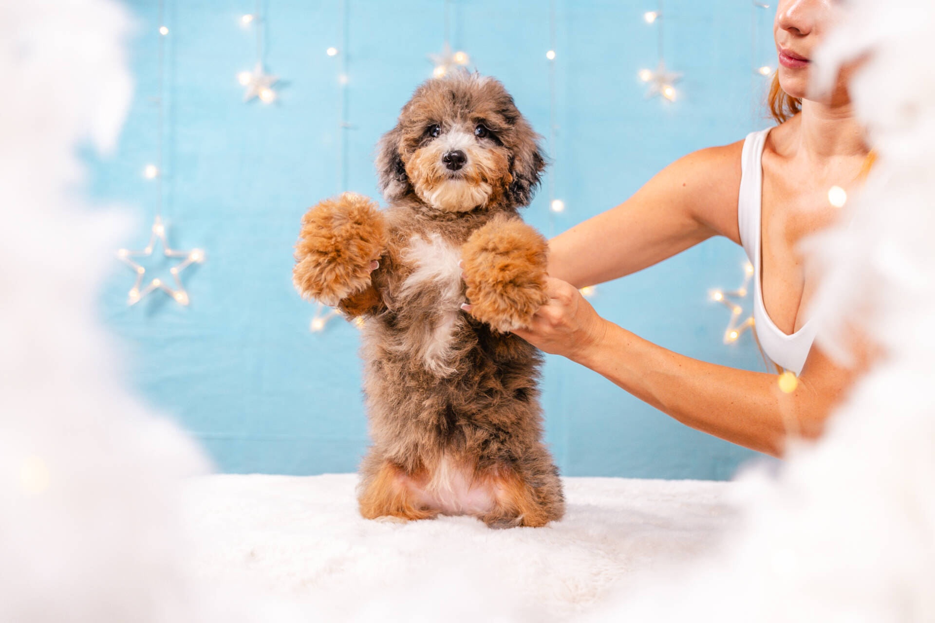 Aloha - Mini F1b Girl - Image 3