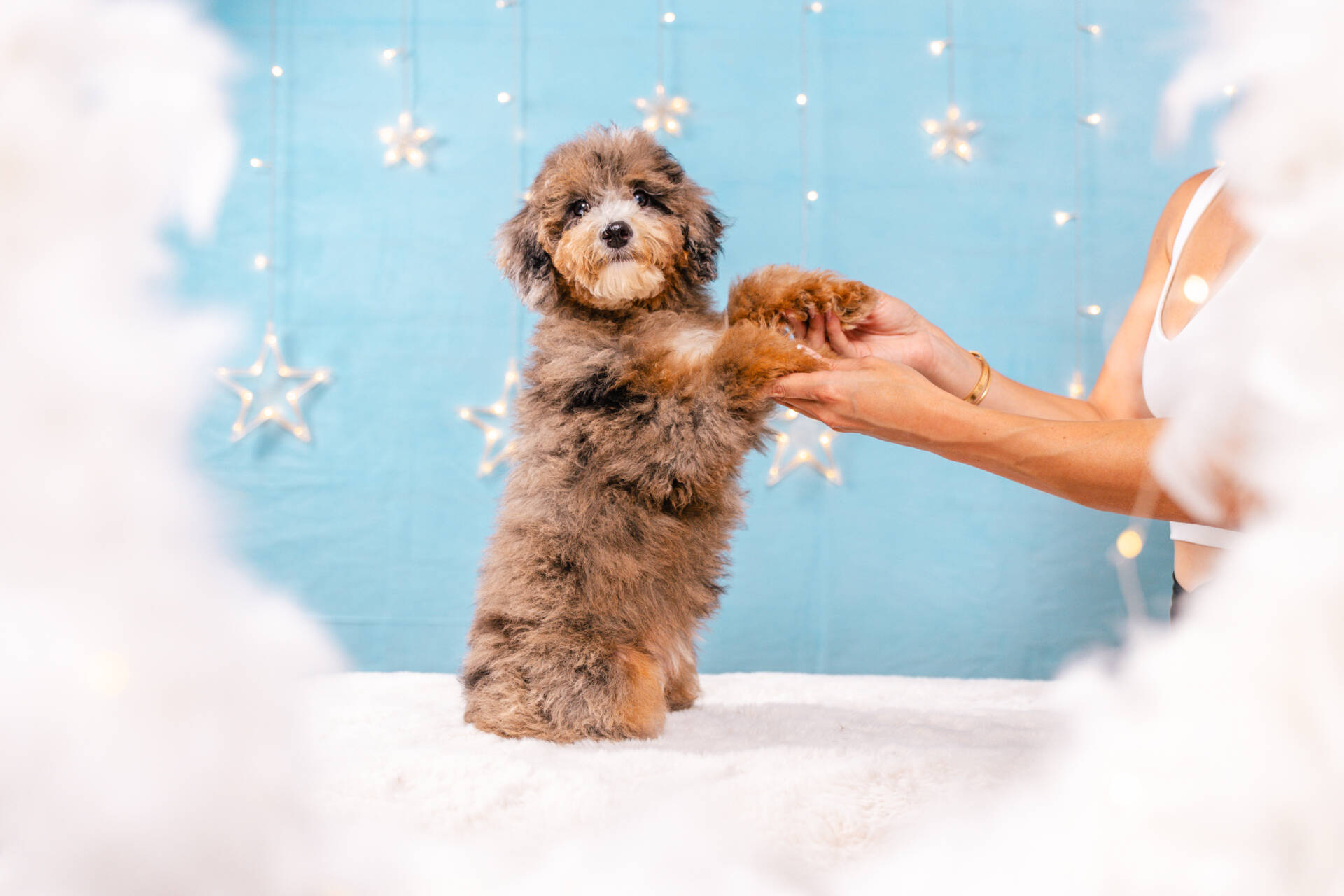 Aloha - Mini F1b Girl - Image 5