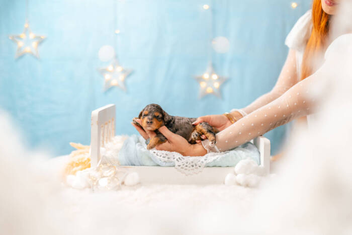 Bambi - Micro Girl - Image 3