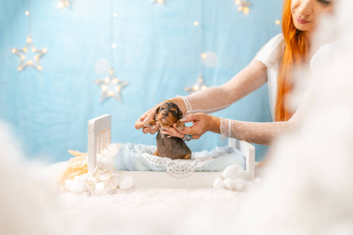 Bambi - Micro Girl - Image 4