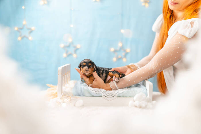 Bubbles - Micro Girl - Image 3