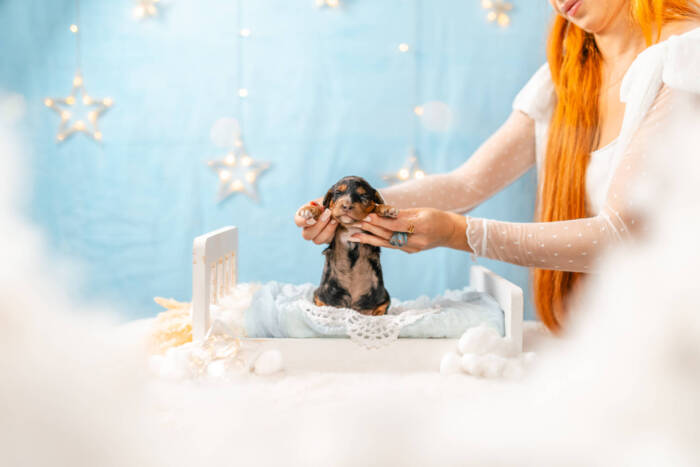 Bubbles - Micro Girl - Image 5