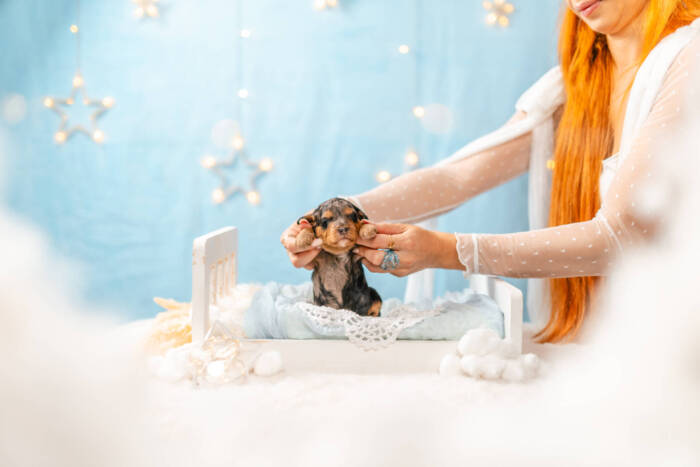 Bunny - Micro Girl - Image 5