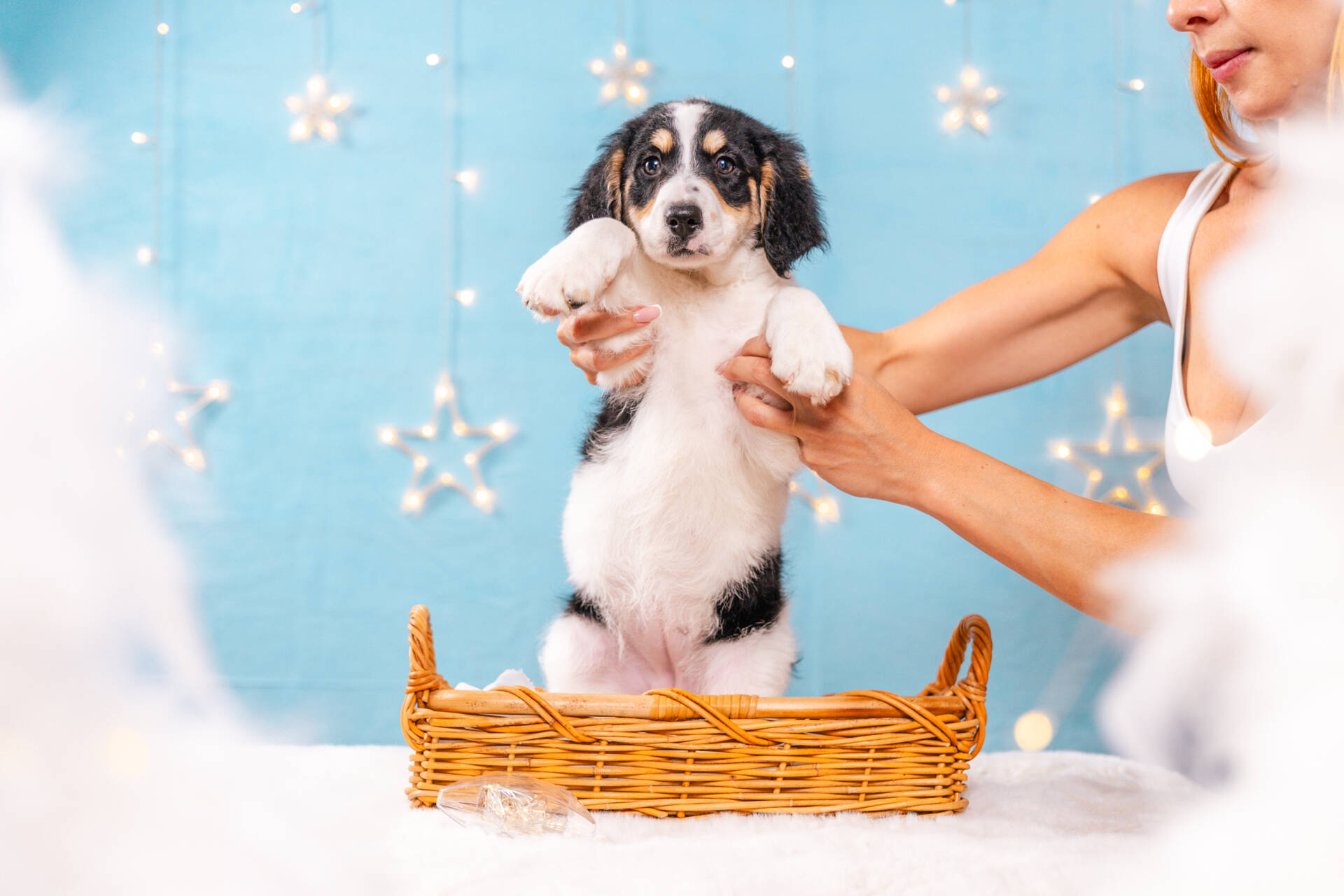 Flossie - Mini F2 Girl Unfurnished - Image 4