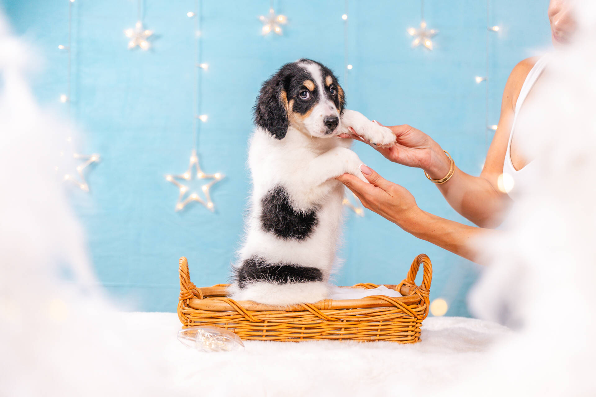 Flossie - Mini F2 Girl Unfurnished - Image 5