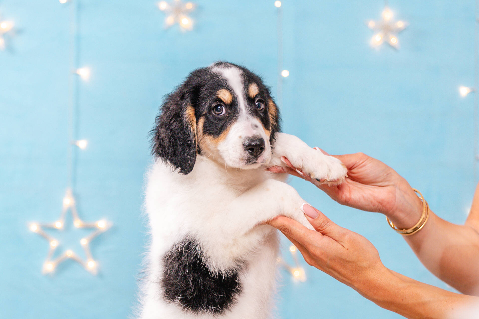 Flossie - Mini F2 Girl Unfurnished - Image 6