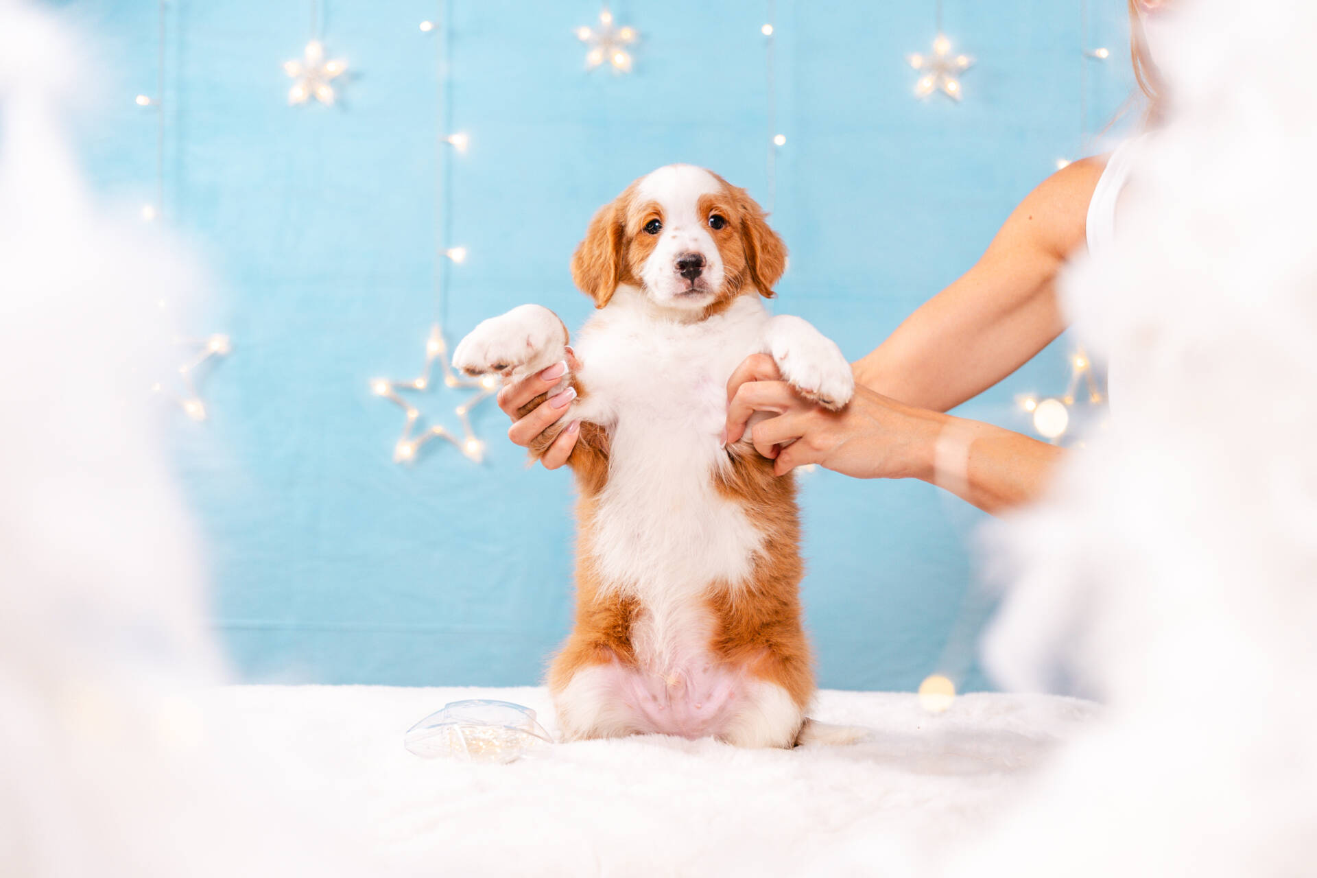 Flame - Mini F2 Boy Unfurnished - Image 3