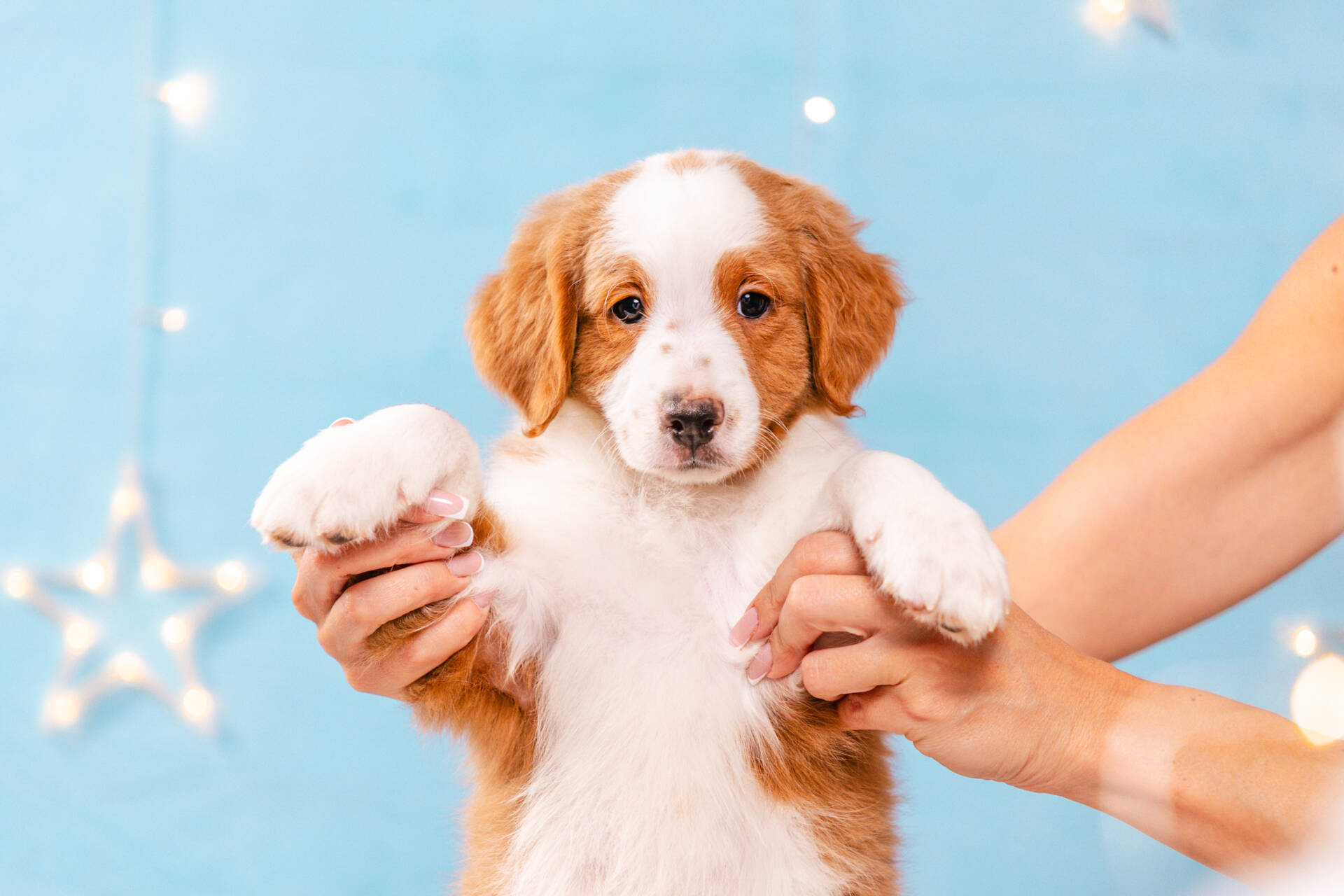 Flame - Mini F2 Boy Unfurnished