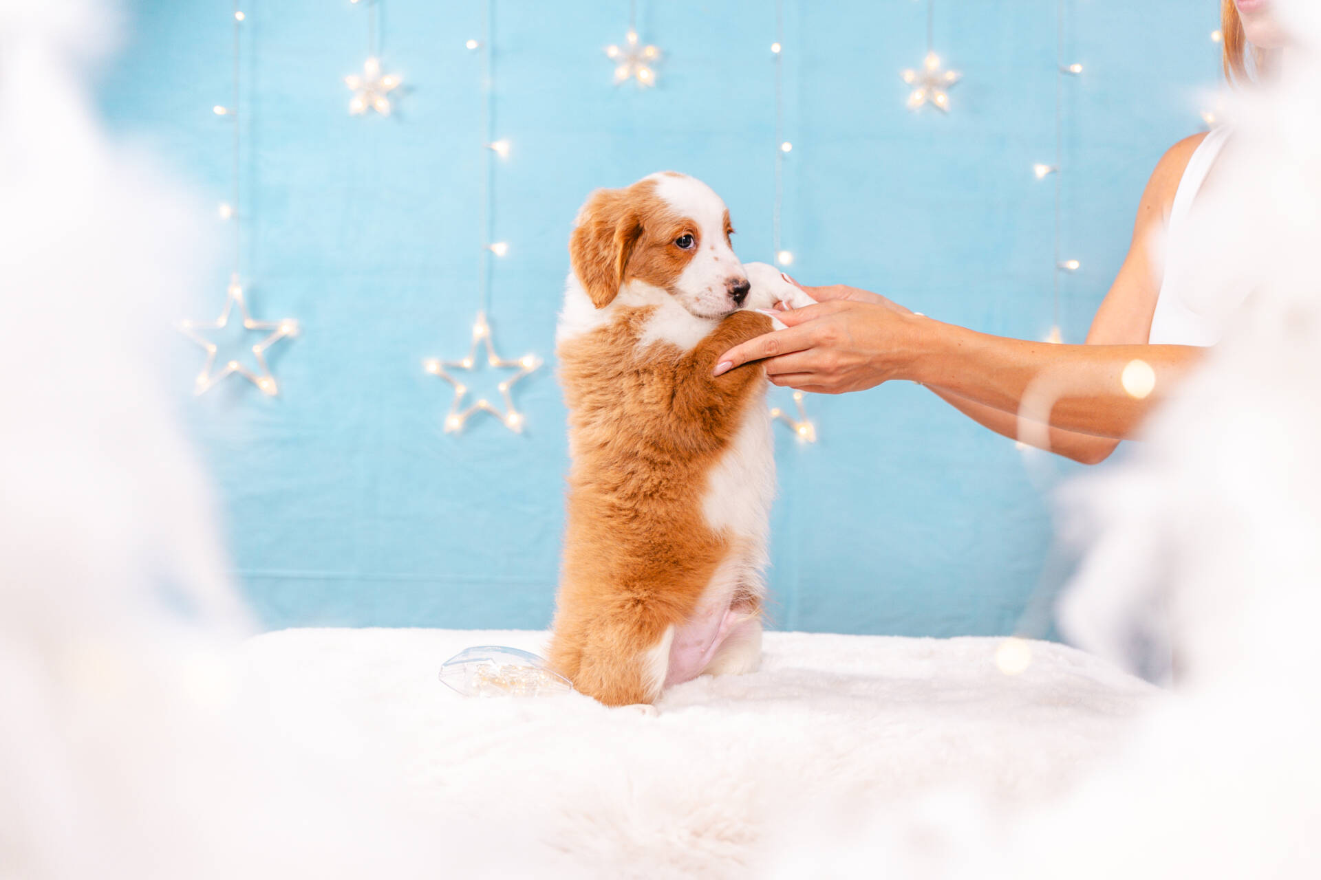 Flame - Mini F2 Boy Unfurnished - Image 5