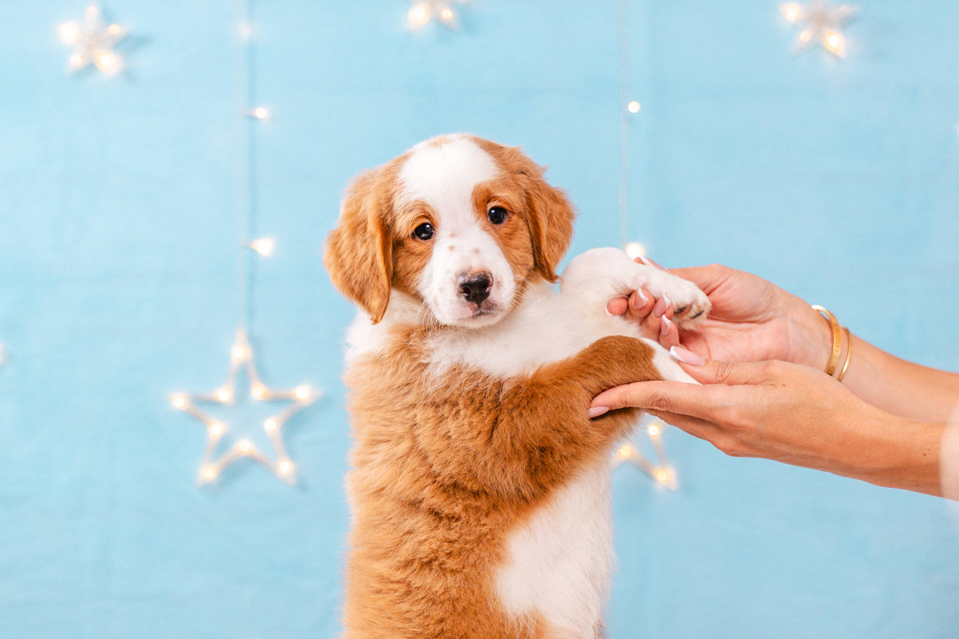 Flame - Mini F2 Boy Unfurnished - Image 6