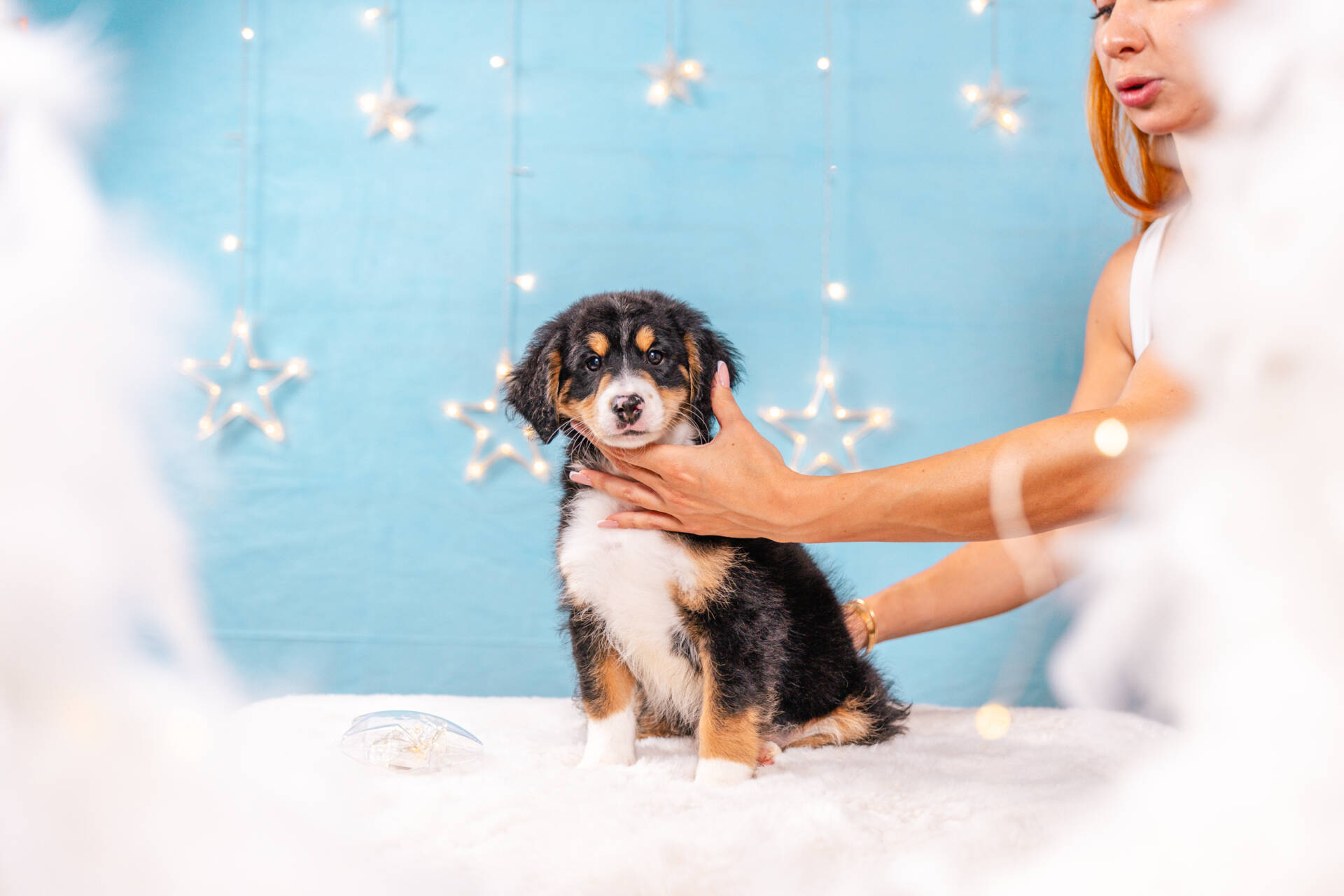 Frankie - Mini F2 Boy Unfurnished - Image 4