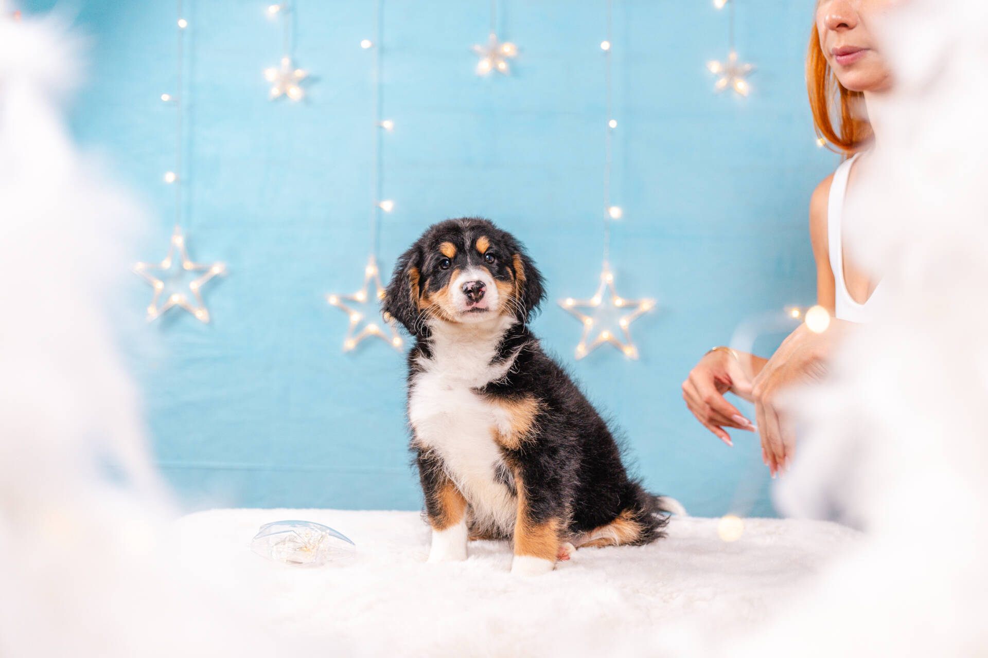 Frankie - Mini F2 Boy Unfurnished - Image 5