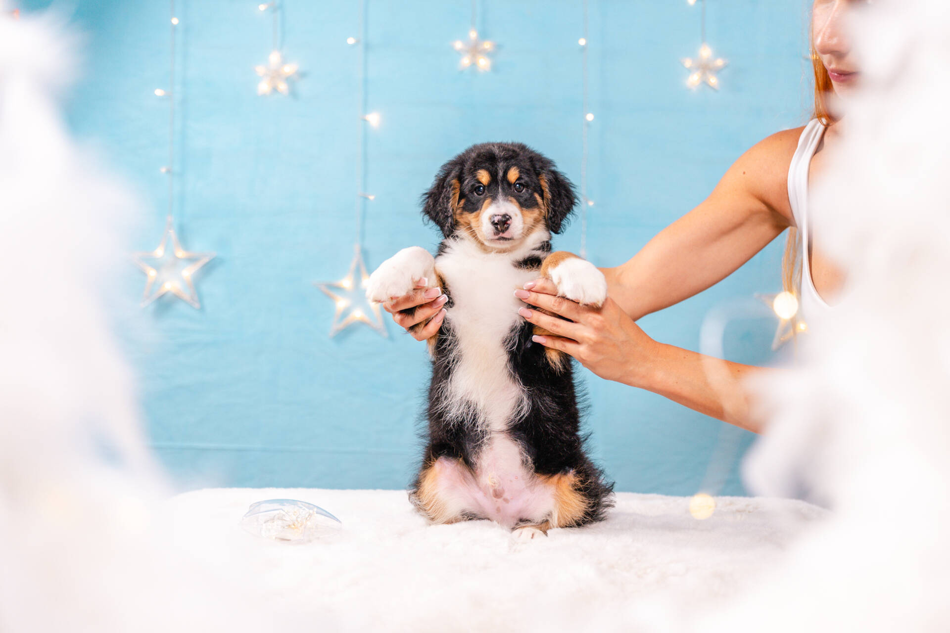 Frankie - Mini F2 Boy Unfurnished - Image 6