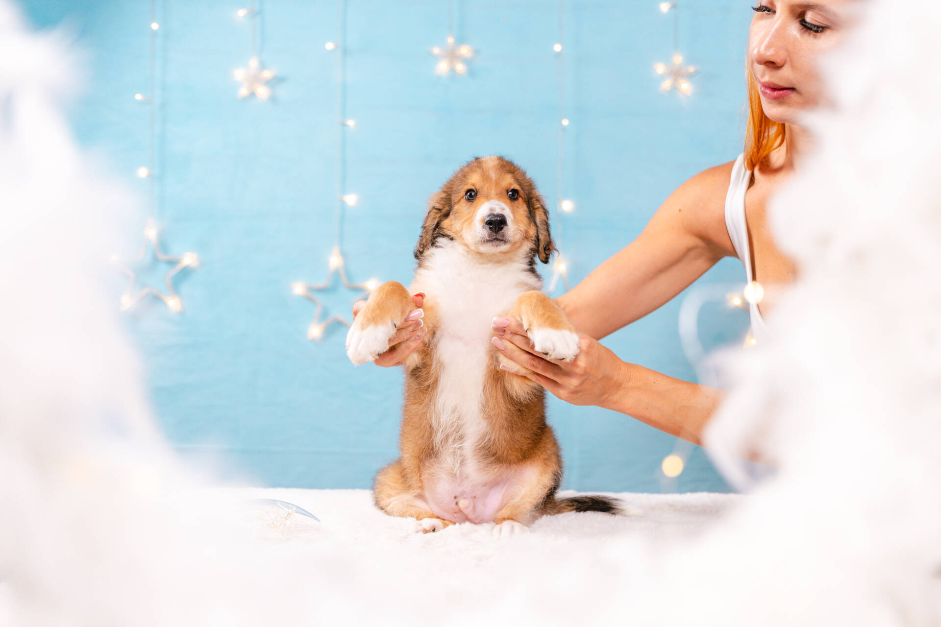 Figaro - Mini F2 Boy Unfurnished - Image 4