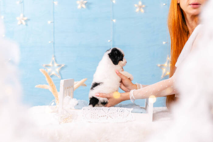 Harmony - Mini F2 Girl - Image 6