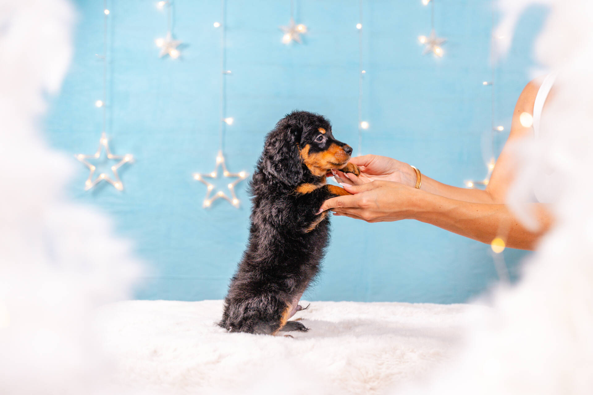 Pickles - Micro F1b Boy Unfurnished - Image 5