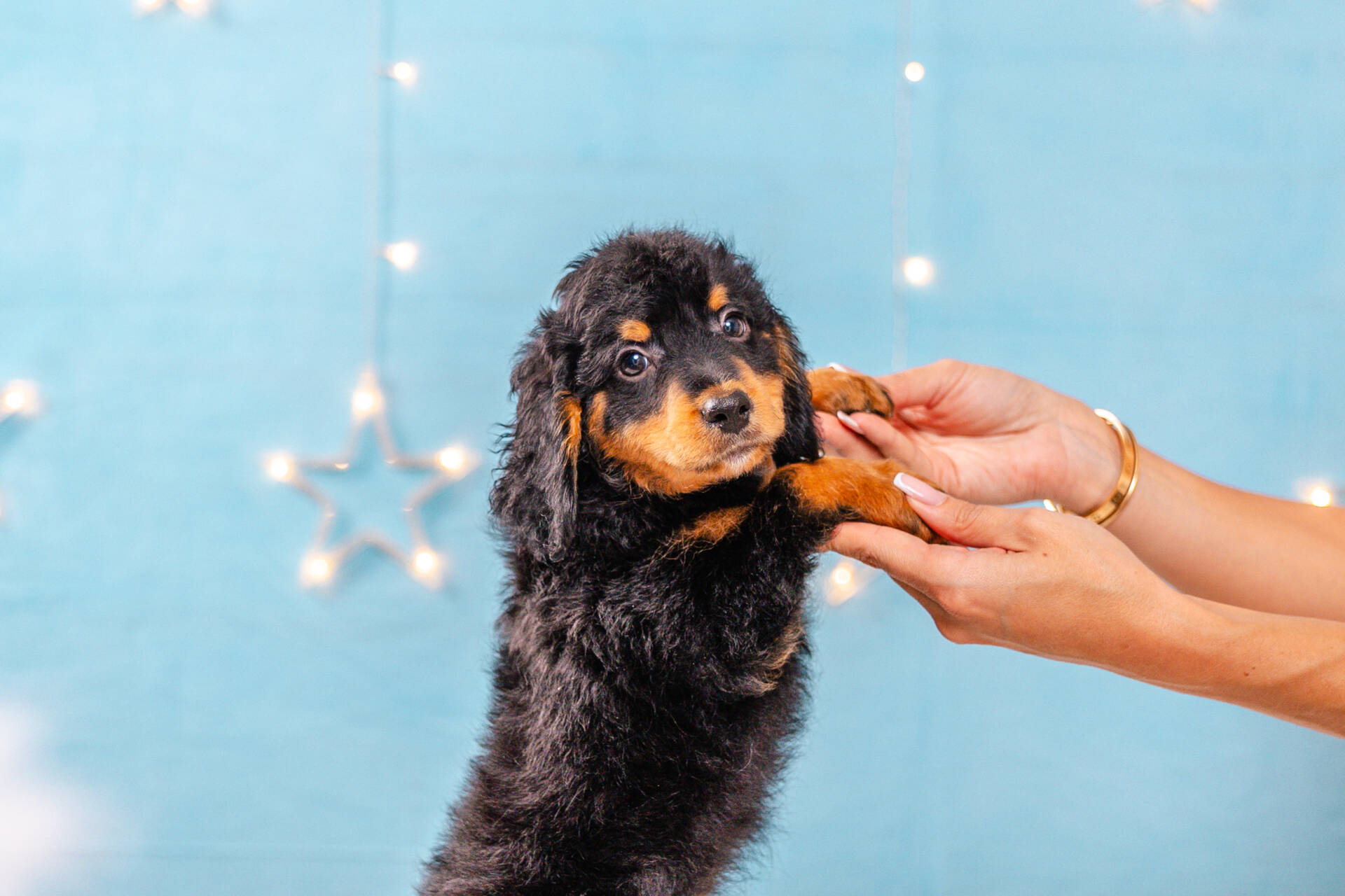 Pickles - Micro F1b Boy Unfurnished - Image 6