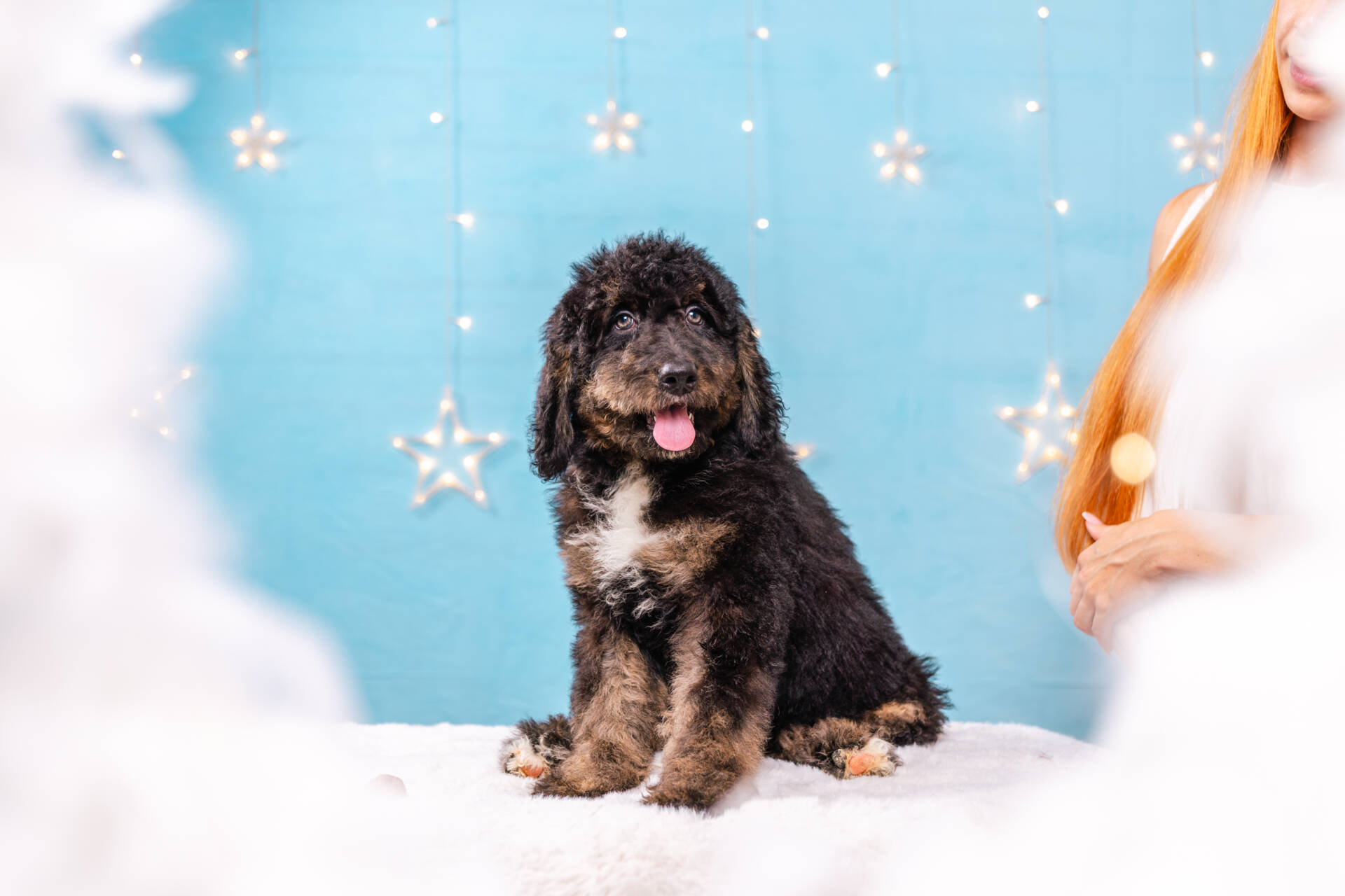 Juno- Standard F2 Girl - Image 3