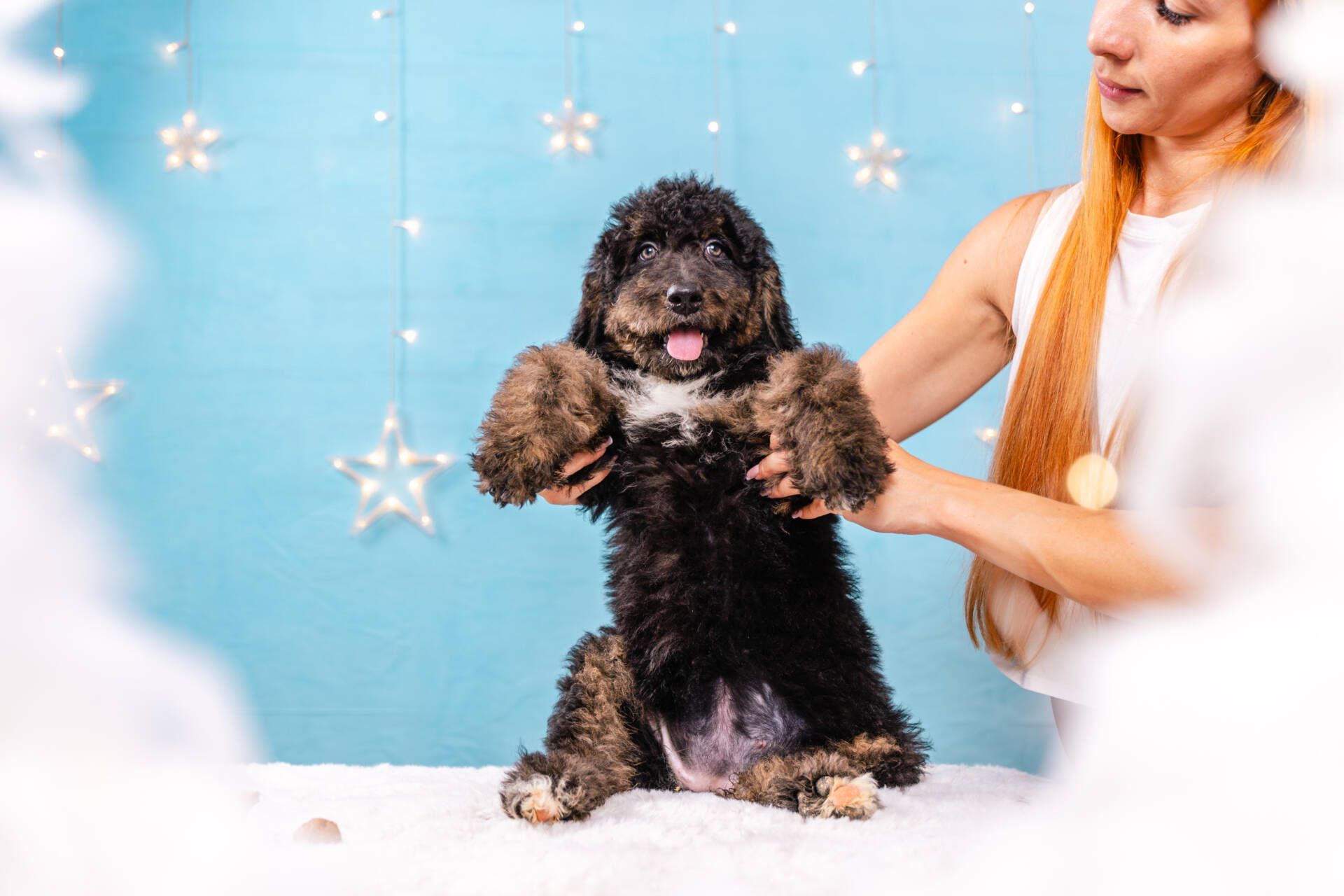 Juno- Standard F2 Girl - Image 4