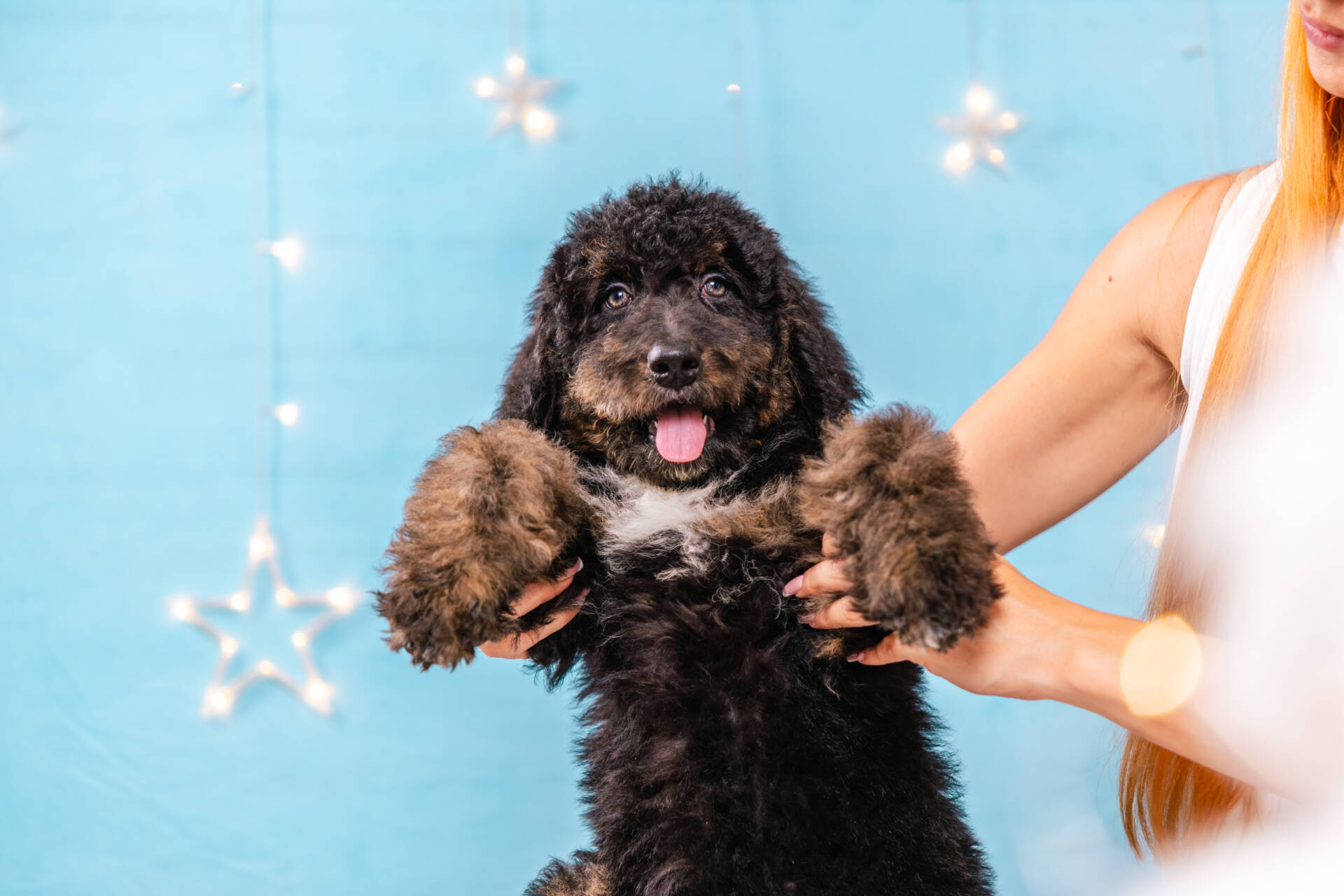 Juno- Standard F2 Girl - Image 5