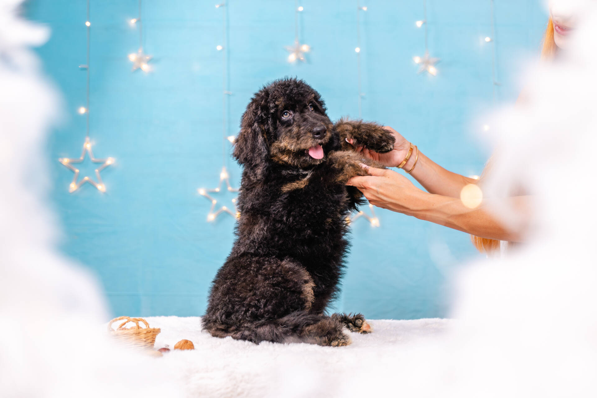 Juno- Standard F2 Girl - Image 7