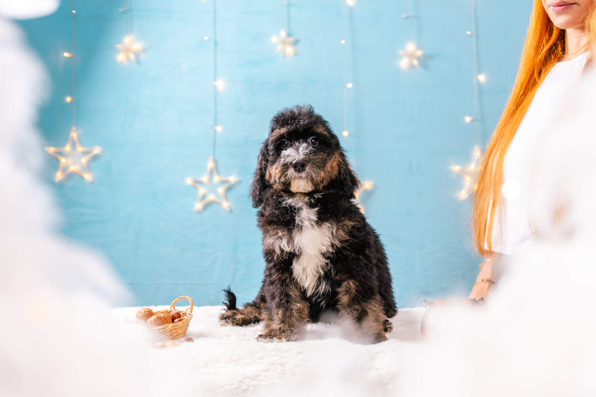 Juliette- Standard F2 Girl - Image 2