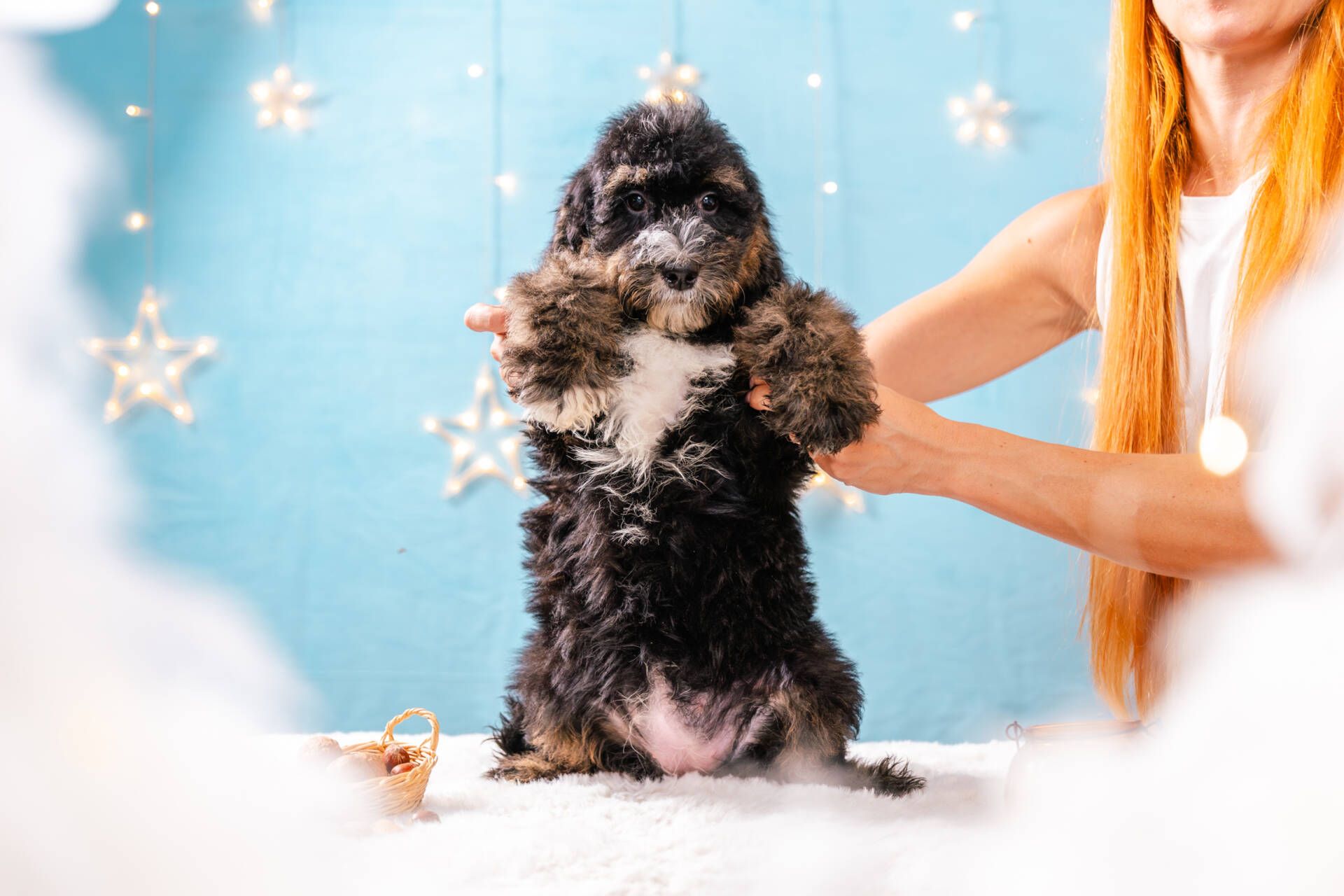 Juliette- Standard F2 Girl - Image 3