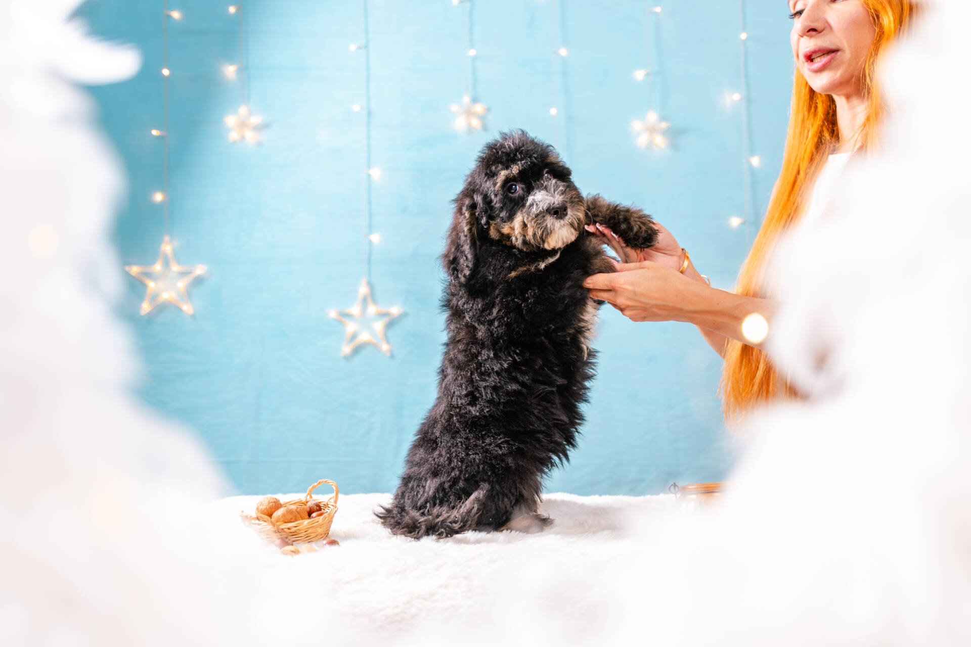 Juliette- Standard F2 Girl - Image 5