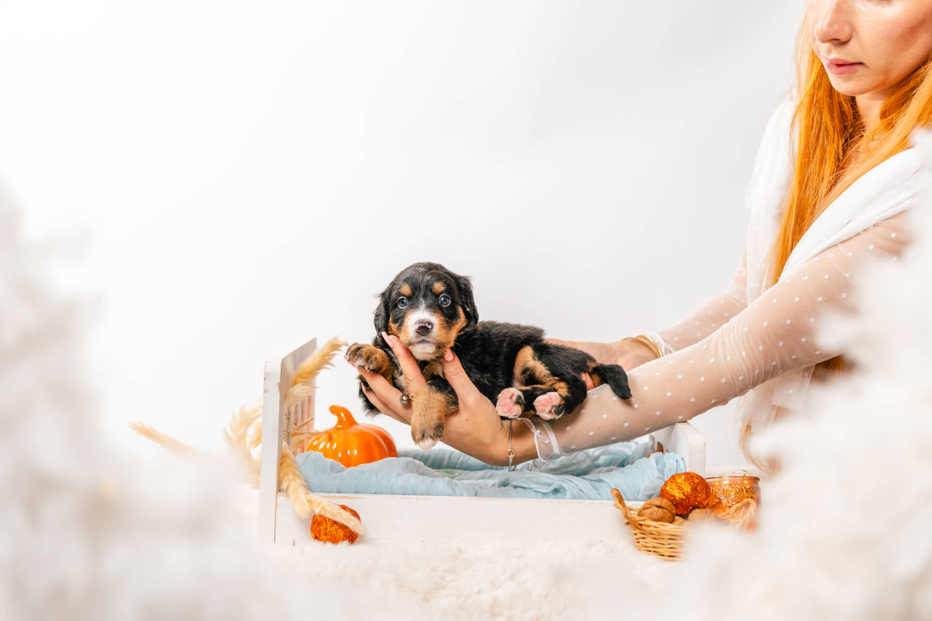 Dora - Mini F2 Girl - Image 3