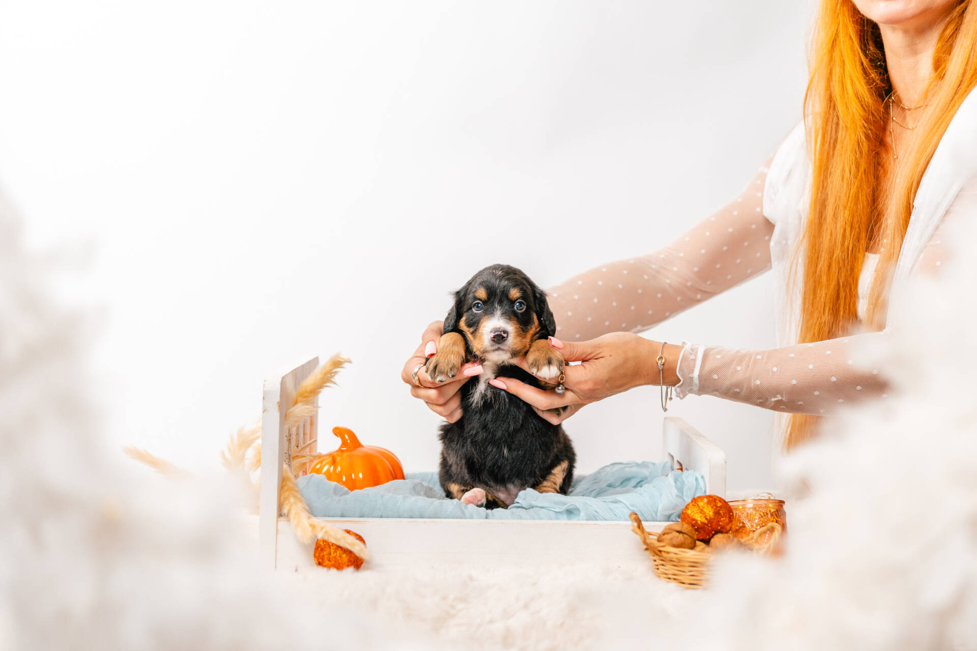 Dora - Mini F2 Girl - Image 4